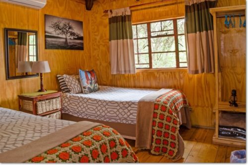 Beautiful Log Cabins at Blyde Adventure Camp
